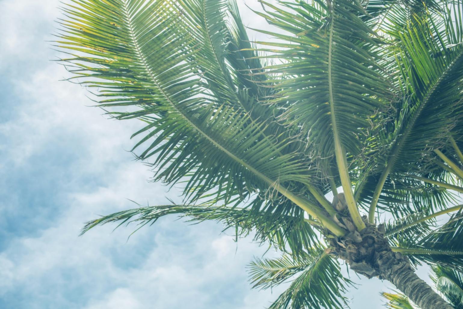 Студенты работают над планированием туристического маршрута